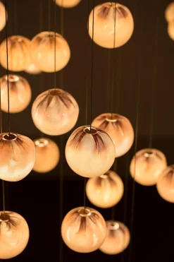 BOCCI Suspensions><noscript><img width=