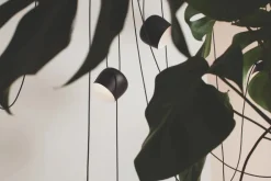 Flos Suspensions|Suspensions><noscript><img width=