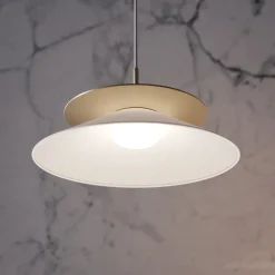 Contardi Suspensions><noscript><img width=