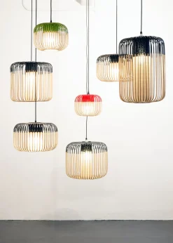 Forestier Suspensions><noscript><img width=