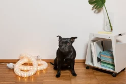 Artemide Lampes À Poser|Lampes À Poser><noscript><img width=