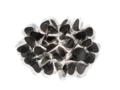 Slamp Appliques>Clizia Mama Non Mama Appliques