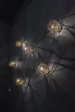 Terzani Appliques><noscript><img width=