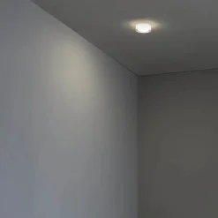 Faro Spots><noscript><img width=