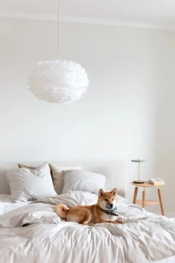 Umage Suspensions><noscript><img width=