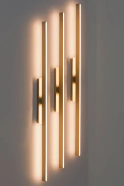 Contardi Appliques><noscript><img width=