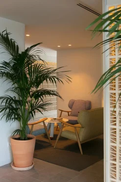 Faro Spots><noscript><img width=