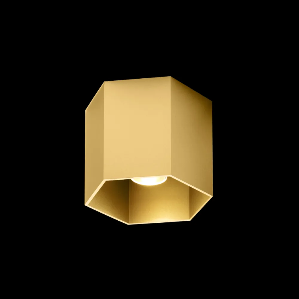 Wever u0026 Ducré Spots|Plafonniers>Hexo 1.0 PAR16 Plafonniers