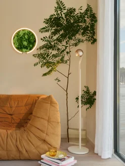 Occhio Liseuses><noscript><img width=