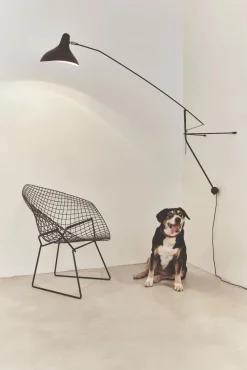 DCW Editions Liseuses|Appliques><noscript><img width=