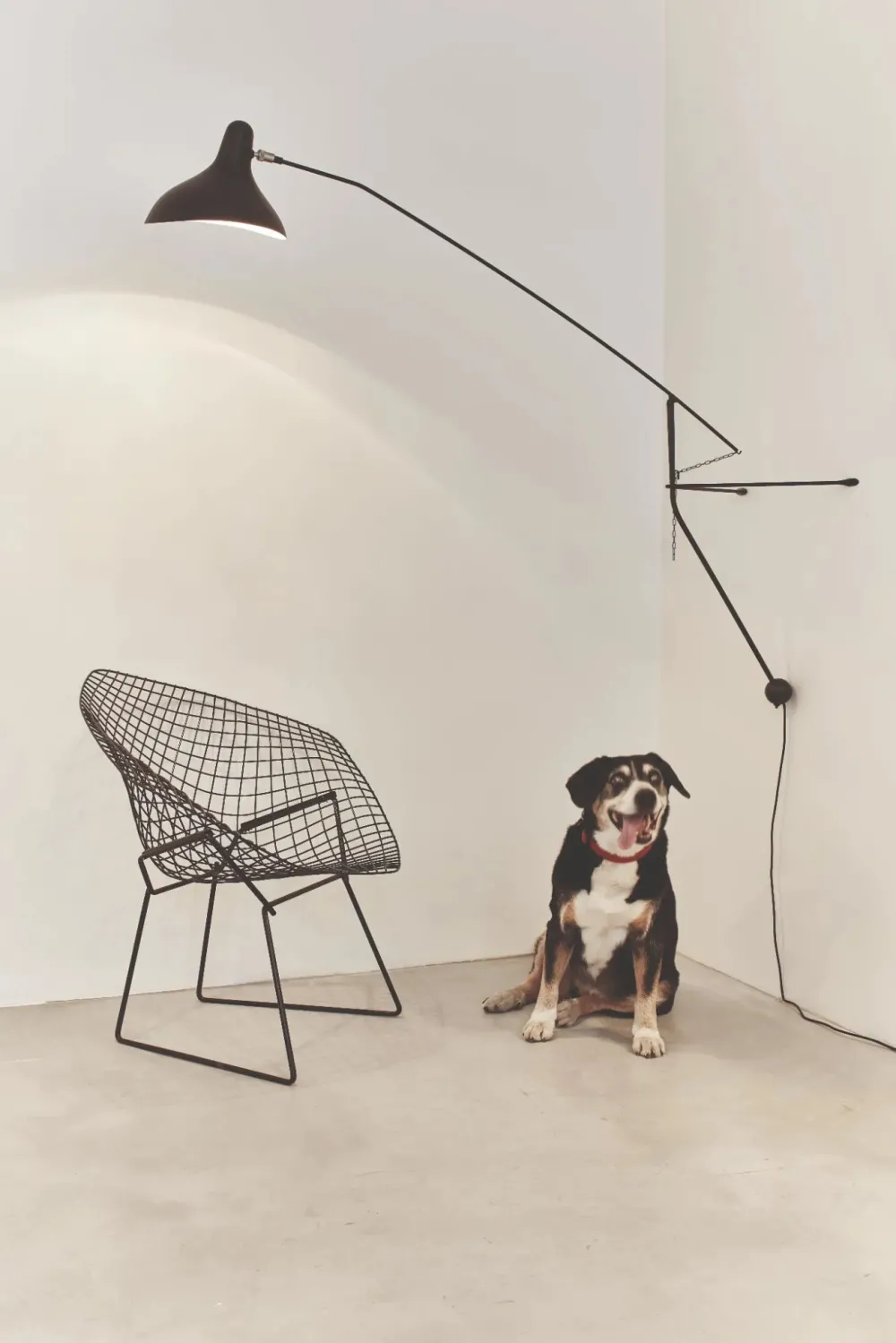 DCW Editions Liseuses|Appliques>Mantis BS2 Appliques Noir