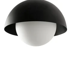 Faro Suspensions><noscript><img width=