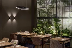 Occhio Suspensions><noscript><img width=