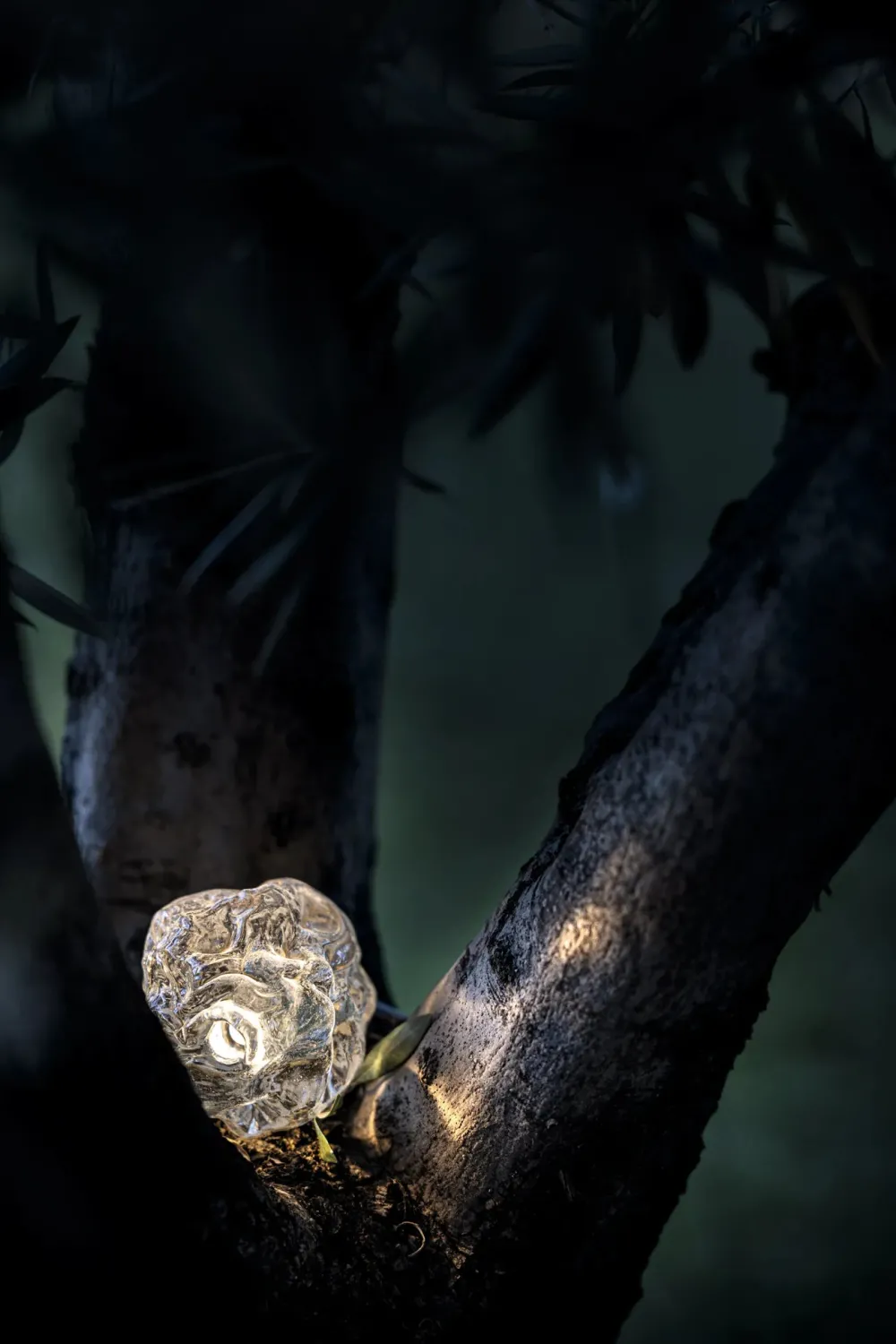 Catellani u0026 Smith Lampes De Sol>More 0 Lampes de sol Outdoor