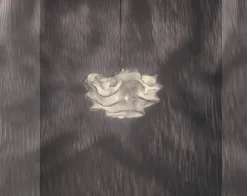 Arturo Alvarez Suspensions>Nevo Small Suspensions Blanc