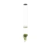 Vibia Suspensions>Palma Suspensions LED