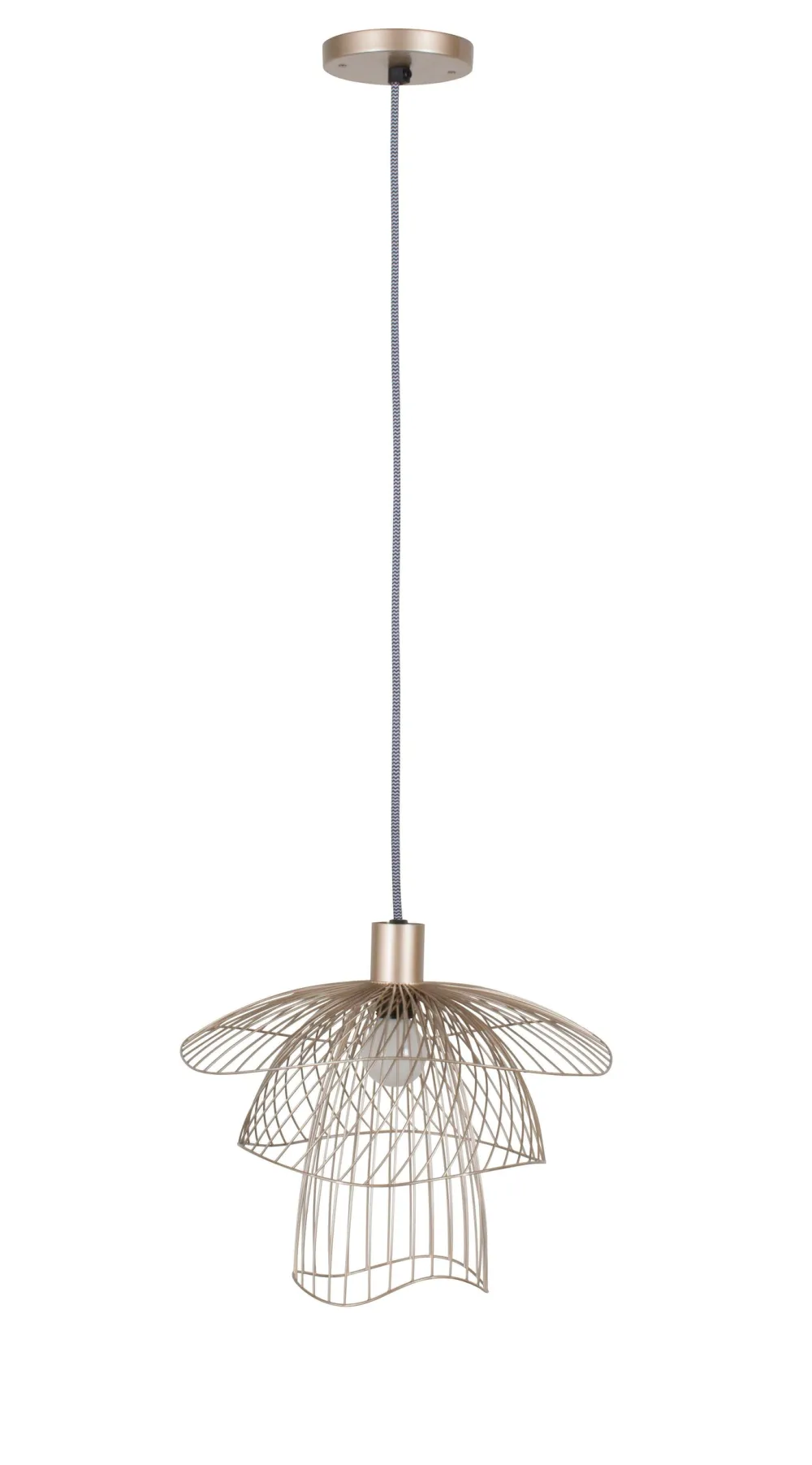 Forestier Suspensions>Papillon XS Suspensions