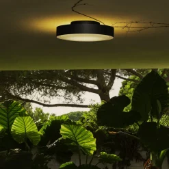 Marset Appliques|Appliques><noscript><img width=