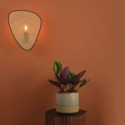 Market Set Appliques><noscript><img width=