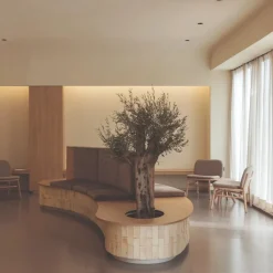 Arkos Light Spots><noscript><img width=