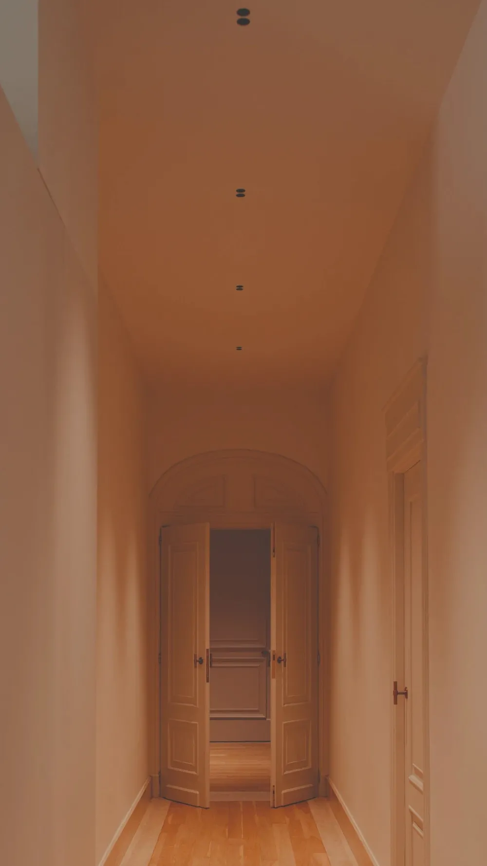 Arkos Light Spots|Spots>Shot Light Trimless Spots LED