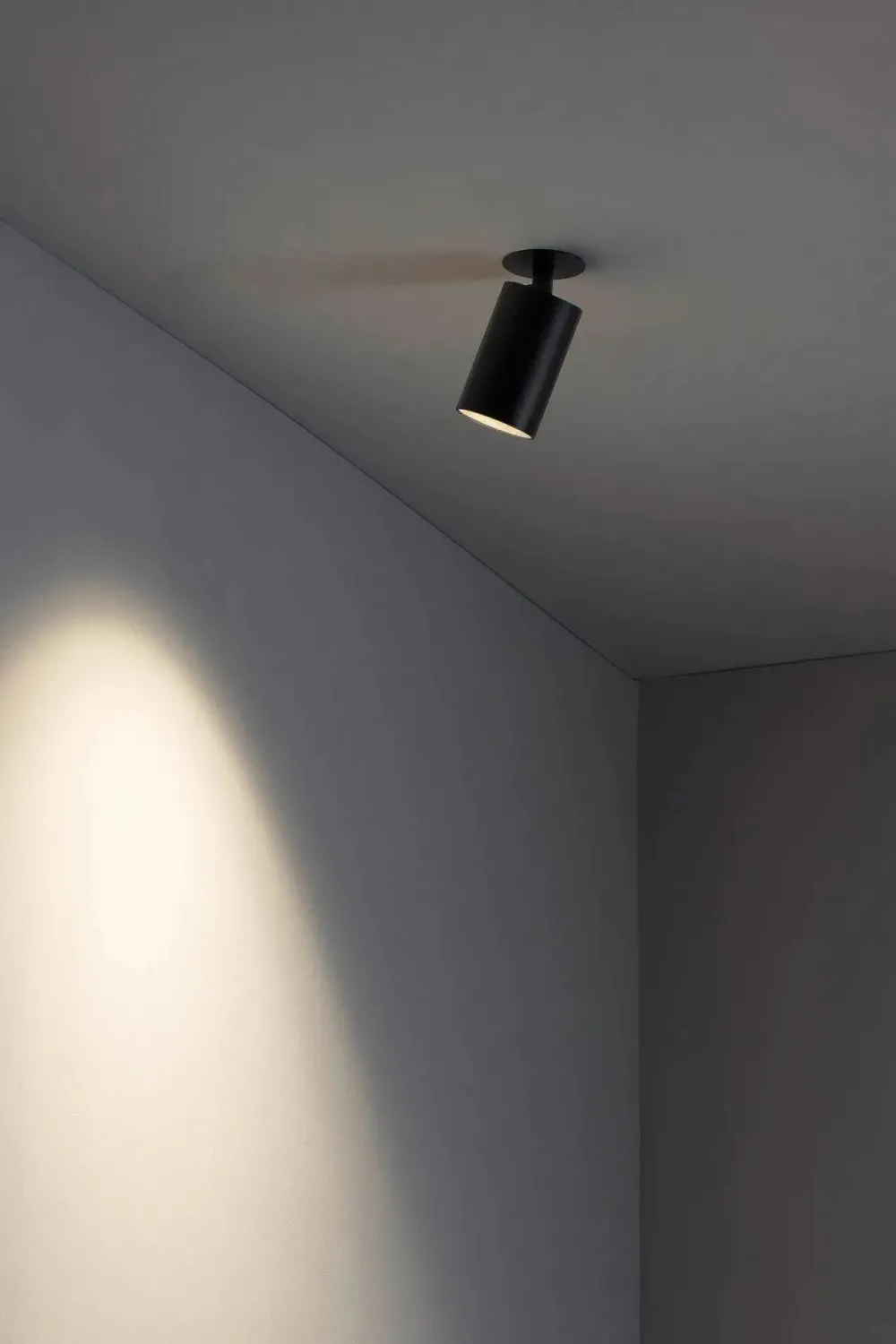 Faro Spots>Stan Spots