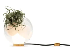 BOCCI Lampes À Poser|Lampes À Poser><noscript><img width=