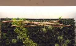 Henri Bursztyn Suspensions><noscript><img width=